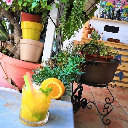 Ramis Fundado En 1969 Отель