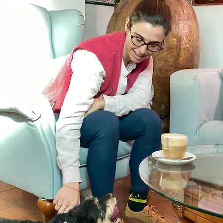 Отель Ramis Fundado En 1969 Ондара