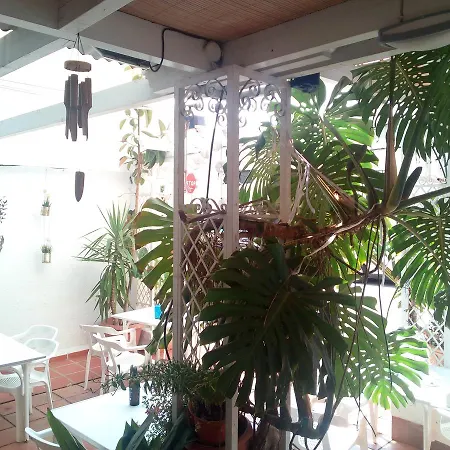 Ramis Fundado En 1969 * Ондара