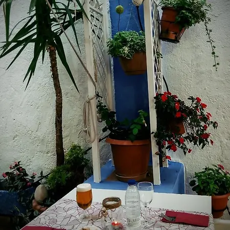 Ramis Fundado En 1969 Ондара