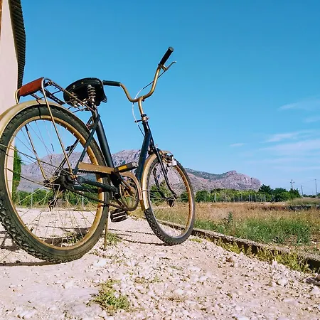 Ramis Fundado En 1969 *