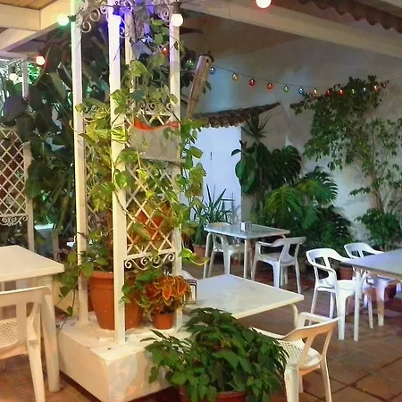 Ramis Fundado En 1969 *