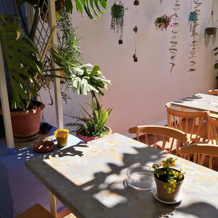 Отель Ramis Fundado En 1969 *