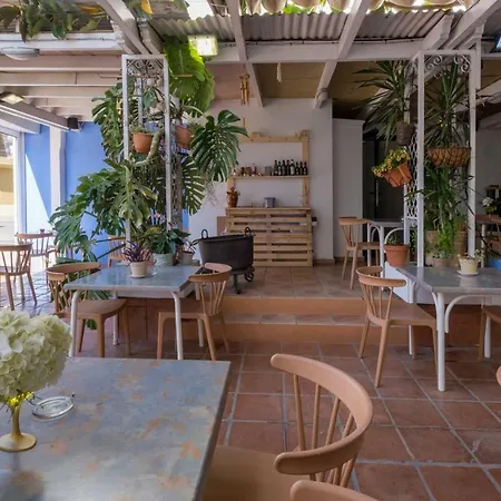 Ramis Fundado En 1969 * Ондара