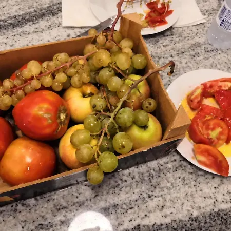 Ramis Fundado En 1969 Hotel Ondara